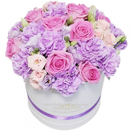 Box-mix "Spring of Life"