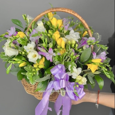 Basket with freesias "Adagio"