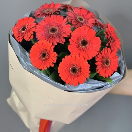 Red gerberas "Symphony"