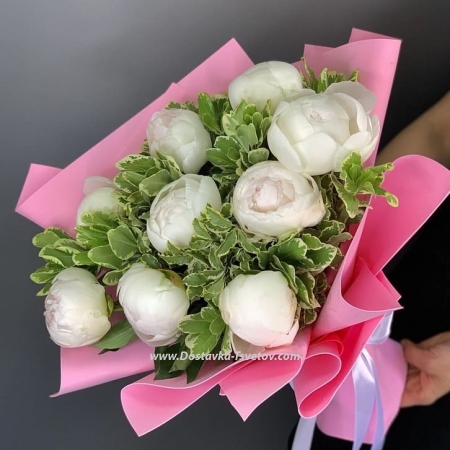 White peonies "Ornelia"