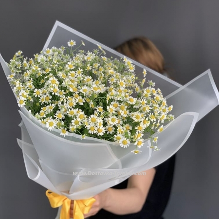 Bouquet "Chamomile Paradise"