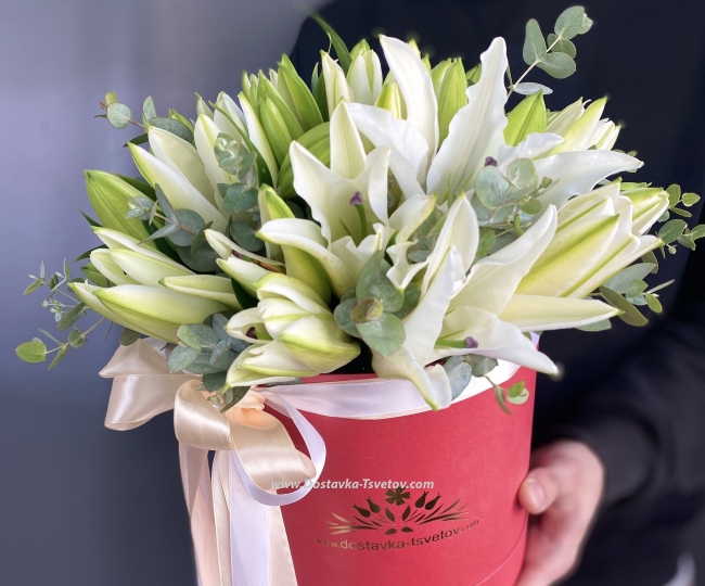 Lilies Lilies in a box "Georgia"