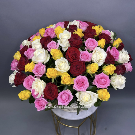 Multicolored roses "Festival"