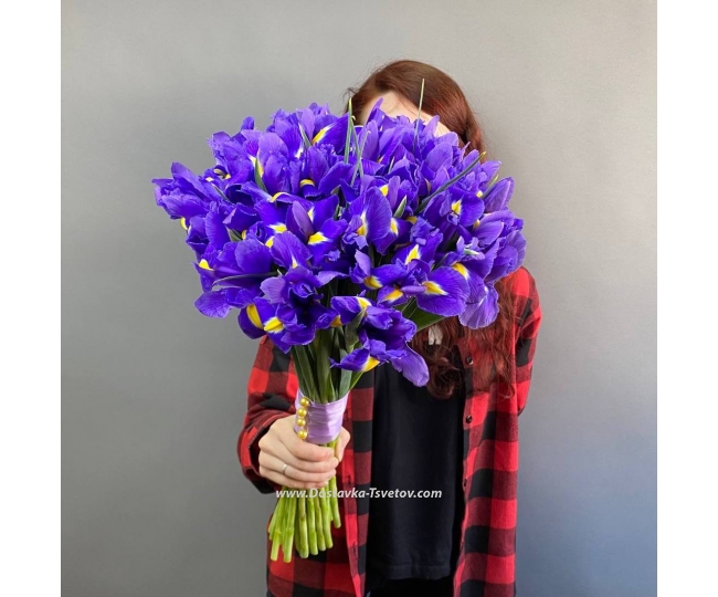 Irises Bouquet of irises "Dymka"