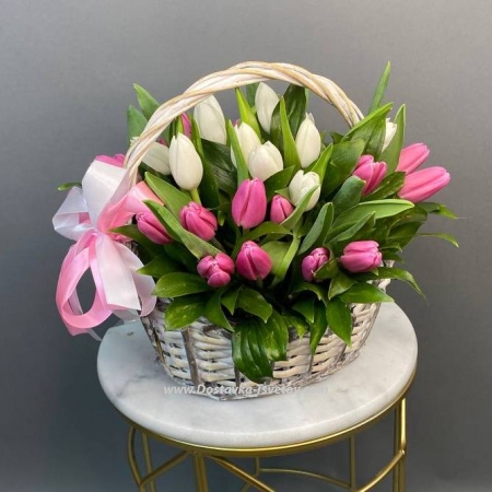 Tulips in the basket "Macarena"