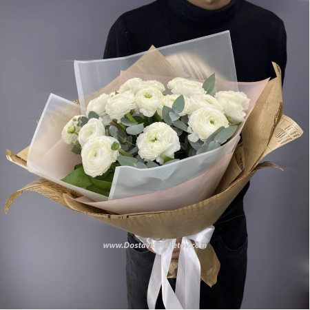 White ranunculus "17 Dwarfs"