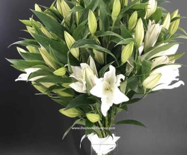 White lilies "Snow Waltz" - photo #2