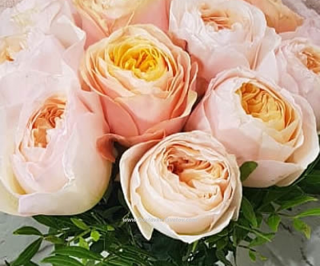 Bouquet of 11 peony roses "Cutie" - photo #3