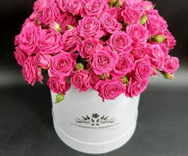 Shrub roses in a box "Melody" - photo #2