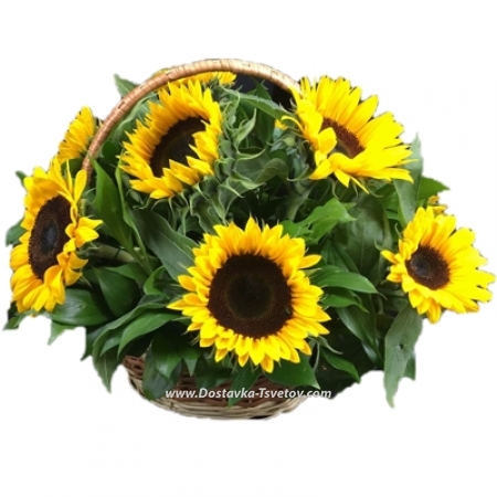 Basket of sunflowers "Baby"