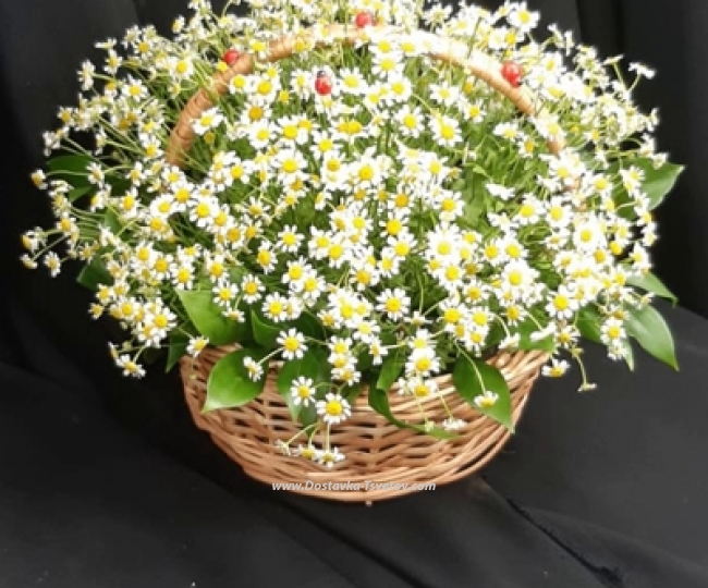Daisies in the basket "Inspiration" - photo #2