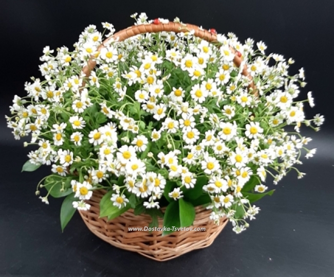 Daisies in the basket "Inspiration" - photo #3
