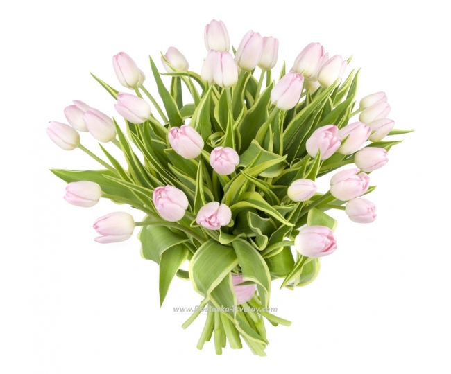 Tulips Pink bouquet "Magic of Feelings"