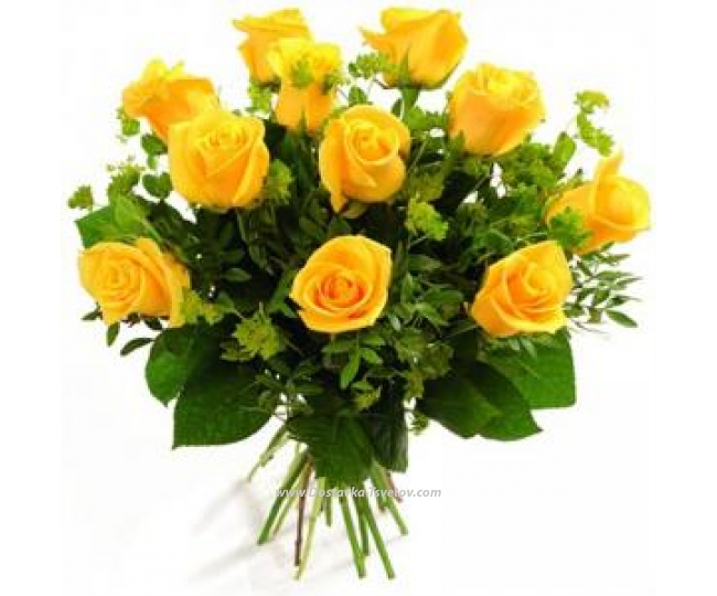 Yellow roses Yellow roses "Sunny Day"