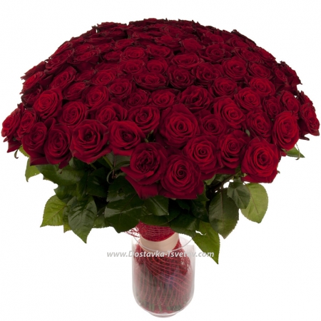 Red roses "Formula of Love"