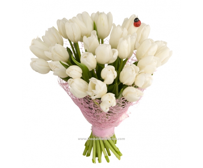 Tulips White bouquet "Air of Love"