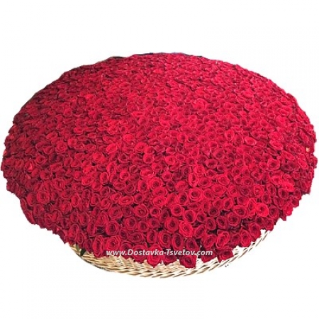 Huge basket 1001 red rose