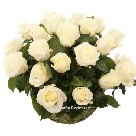 Basket of white roses "Hermitage"