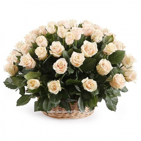 51 Roses in the basket "Sweet Lady"