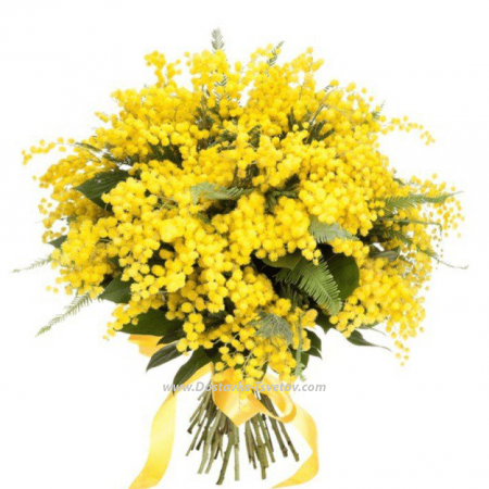 Mimosas in a bouquet "Charm"