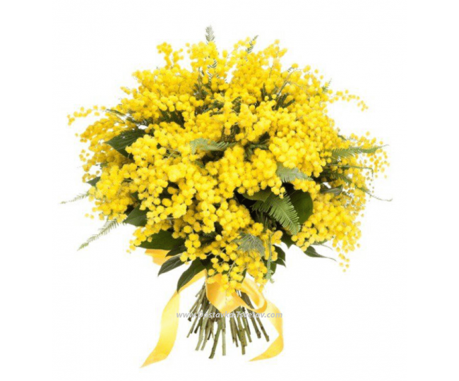 For woman Mimosas in a bouquet "Charm"
