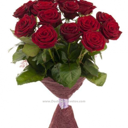 Red roses "Winter Cherry"