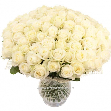 101 white roses "Bride"