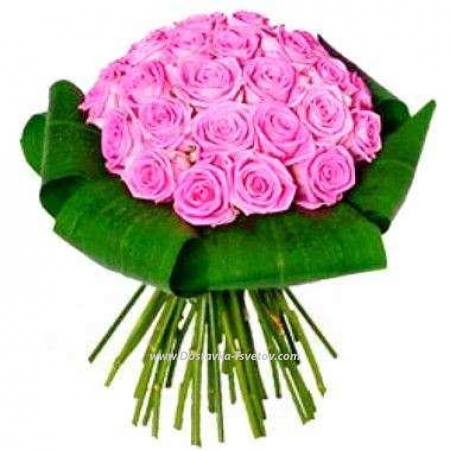 Pink roses with green "Fairy"