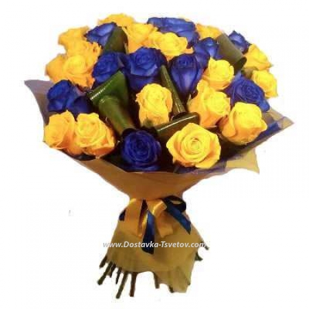 Yellow-blue roses "Linda"