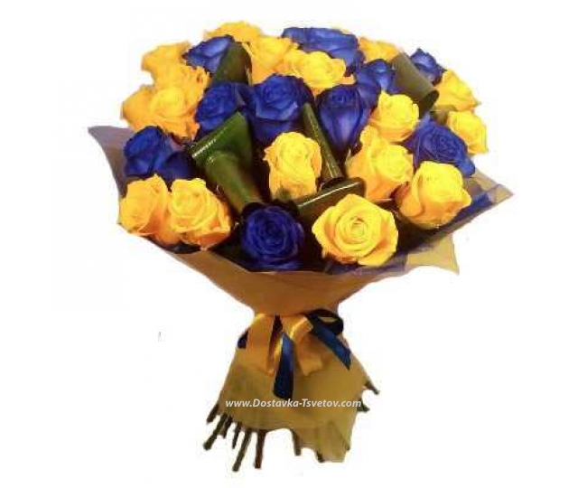 Yellow-blue roses "Linda"