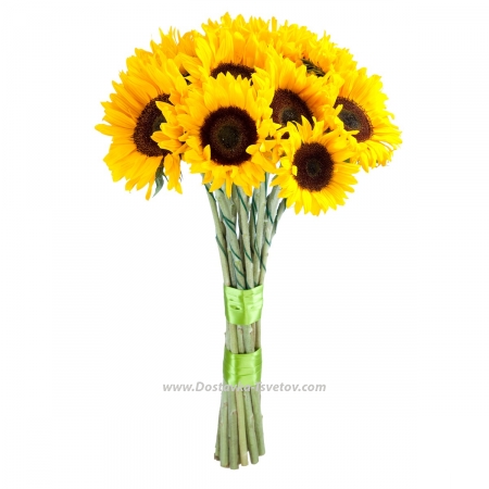 Sunflowers in the bouquet "Cookie"