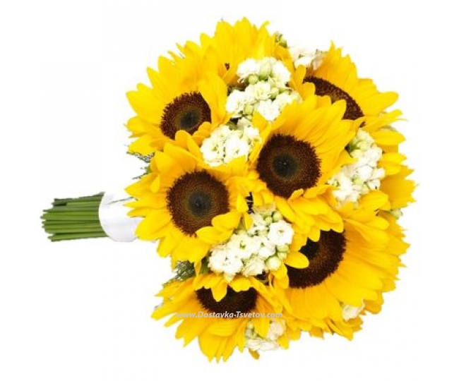 Sunflowers For the wedding "Sunny Bride"