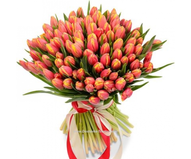 Red yellow tulips Bright bouquet of tulips "Aragon"