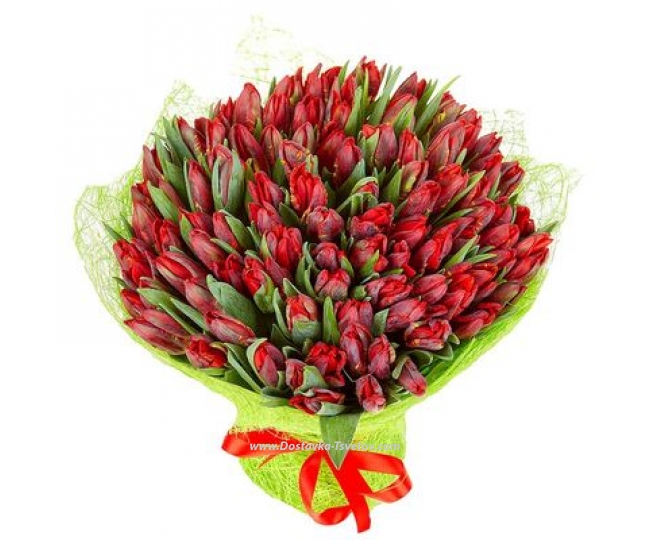 101 tulip Impressive bouquet "Titan"