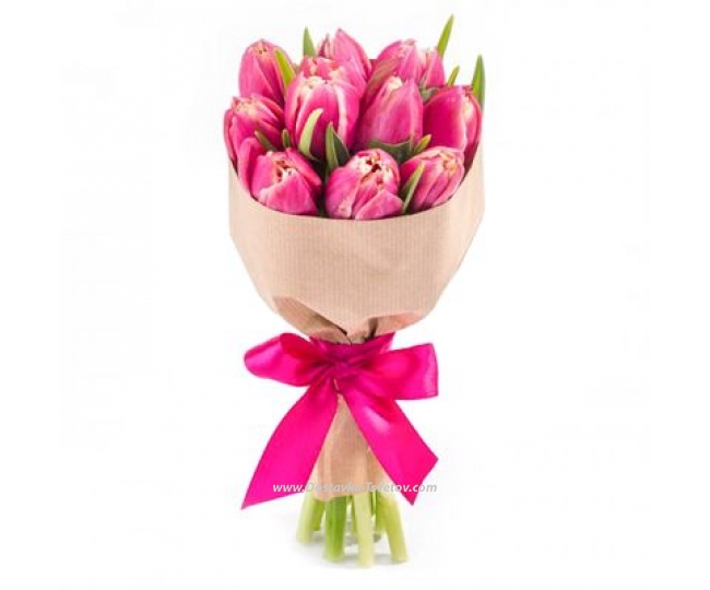 Tulips Pink tulips "Ibiza"