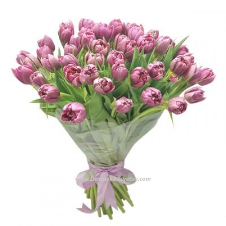 Peony-shaped tulips "Sage"