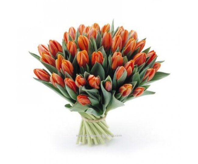 Tulips Orange bouquet "Roksolana"