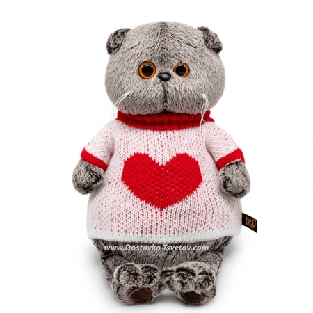 Basik in a sweater with a heart