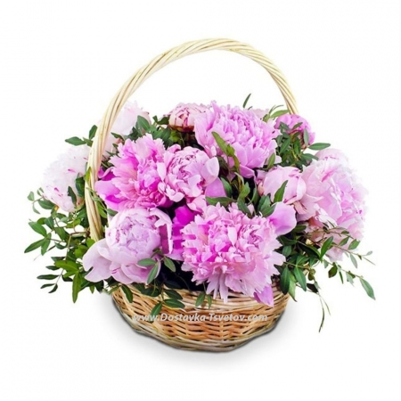 Basket of peonies "Awakening"