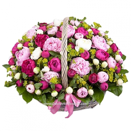 Basket of 65 peonies "Honey"