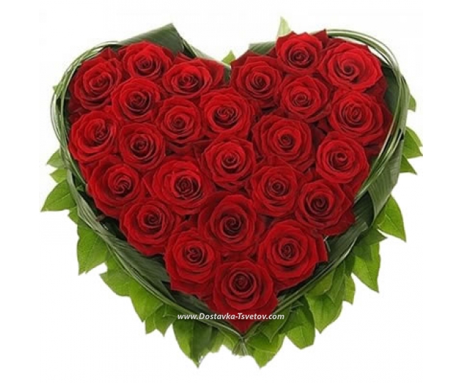 25 roses Heart of roses "Cherry Love"