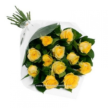 Yellow roses "Sphinx"