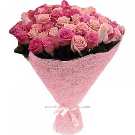 Pink roses "Cupid's Arrow"