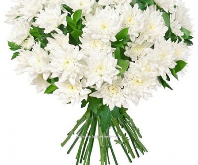 Chrysanthemums White bouquet "Gentle Breath"