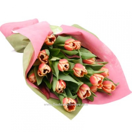 17 tulips in the bouquet "Lioness"