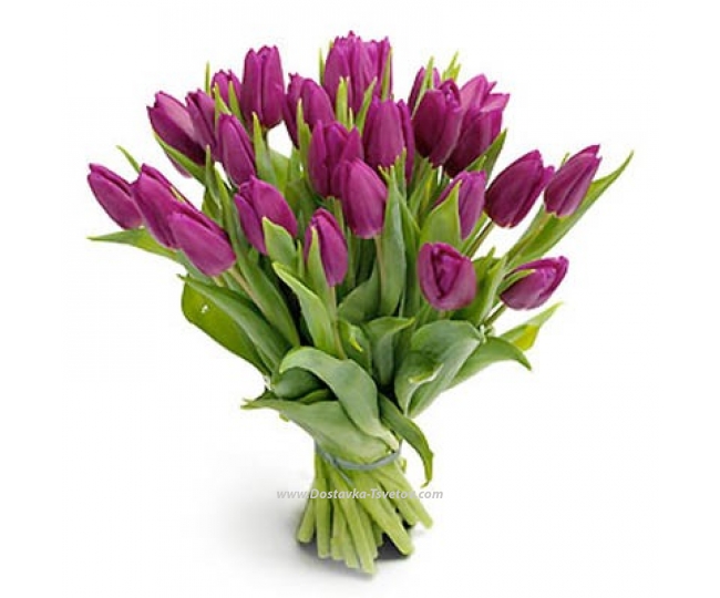 Flowers Purple bouquet "Albion"
