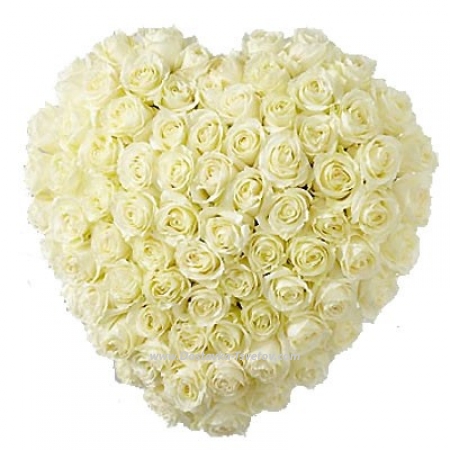 White roses in the "Angel's Heart"