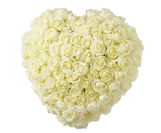 White roses in the "Angel's Heart"