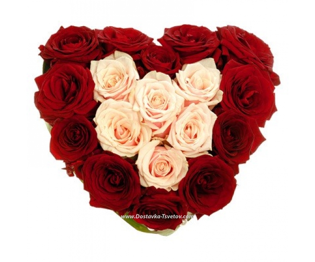25 roses Roses in the heart "I adore"