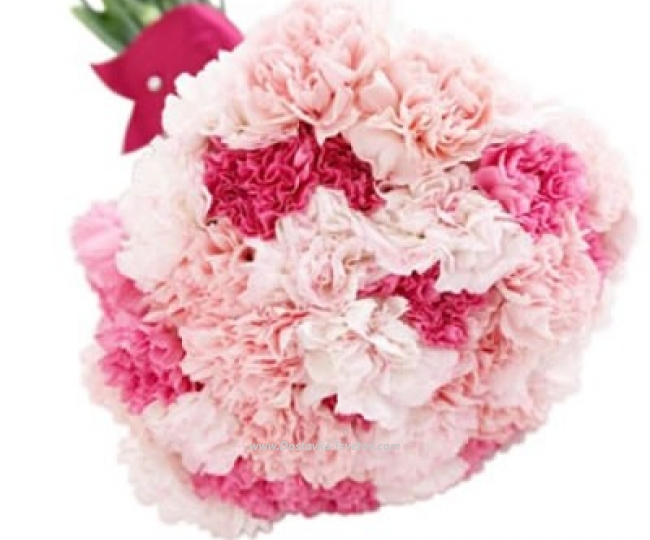 Flowers Delicate bouquet of carnations "Marseille"